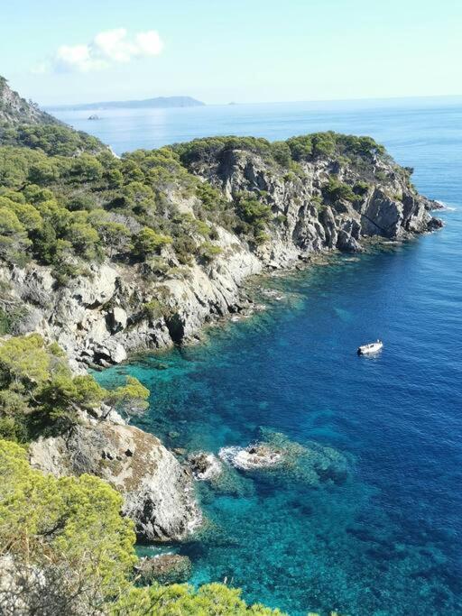 Bel Appartement 6 Personnes - Proche Toutes Commodites Toulon Dış mekan fotoğraf