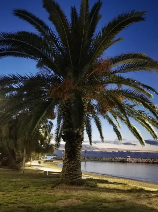 Bel Appartement 6 Personnes - Proche Toutes Commodites Toulon Dış mekan fotoğraf